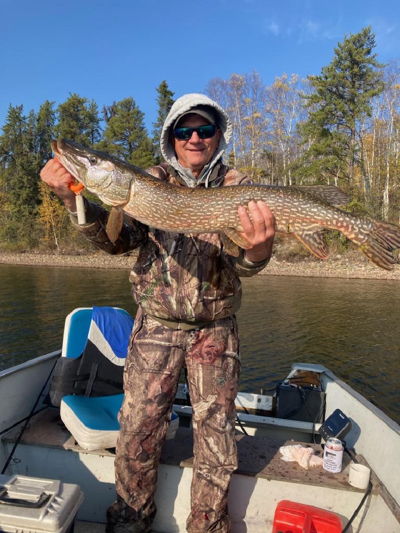 laketrout1 (1)