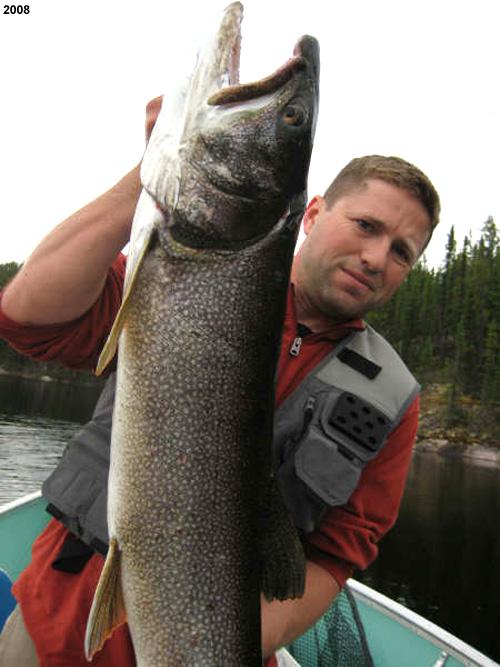 laketrout1 (4)
