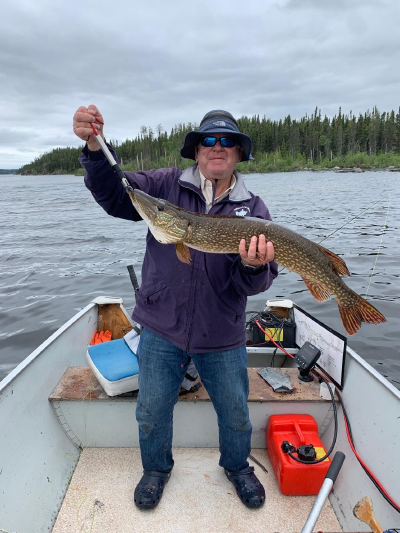 laketrout10 (1)