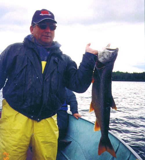 laketrout11 (1)