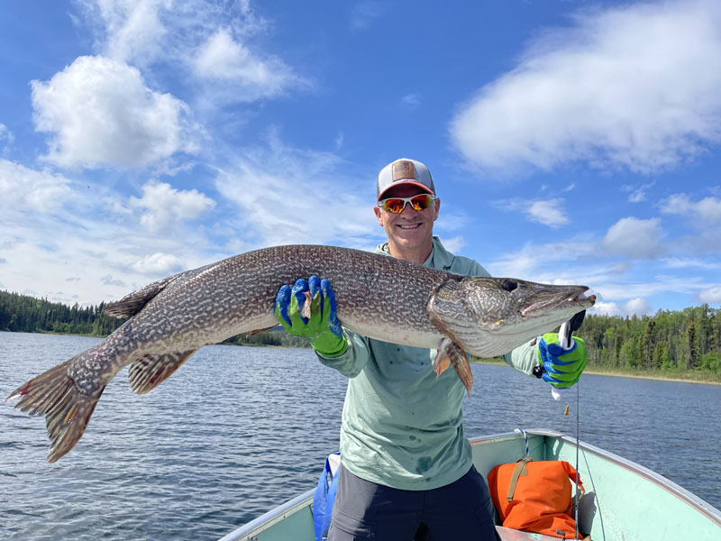 laketrout13
