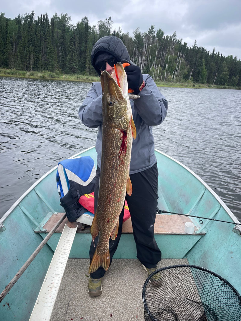 laketrout14