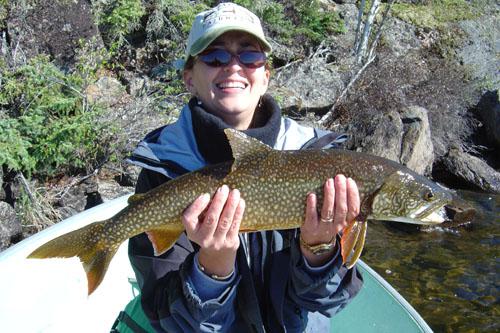laketrout17 (1)