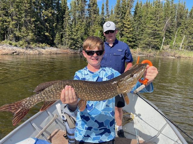laketrout2 (3)