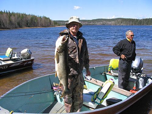 laketrout3 (3)