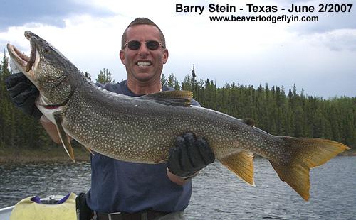 laketrout35