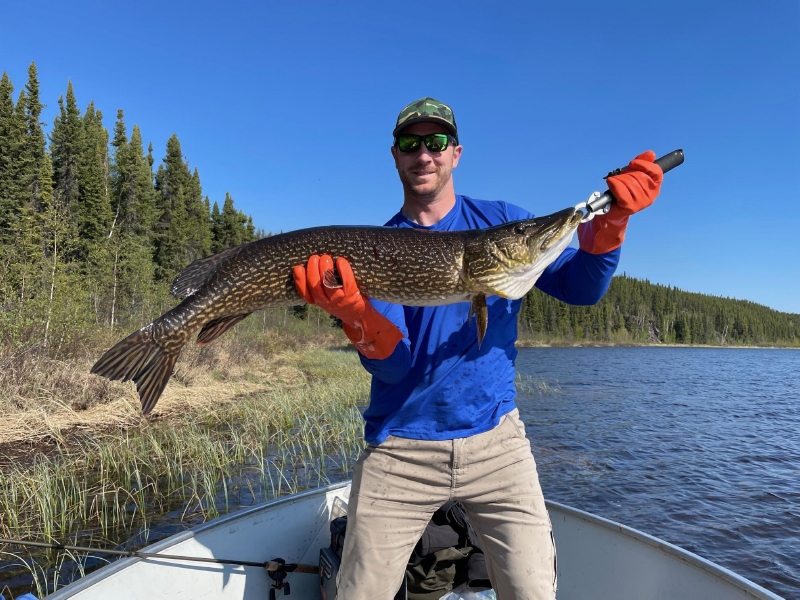 laketrout5 (2)