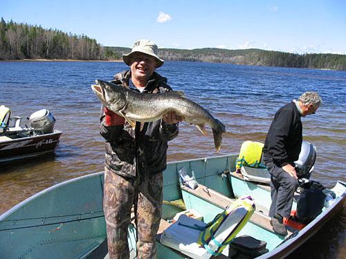 laketrout7 (3)