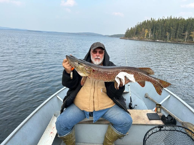 laketrout7