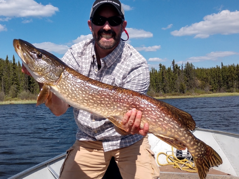 northernpike1 (1)