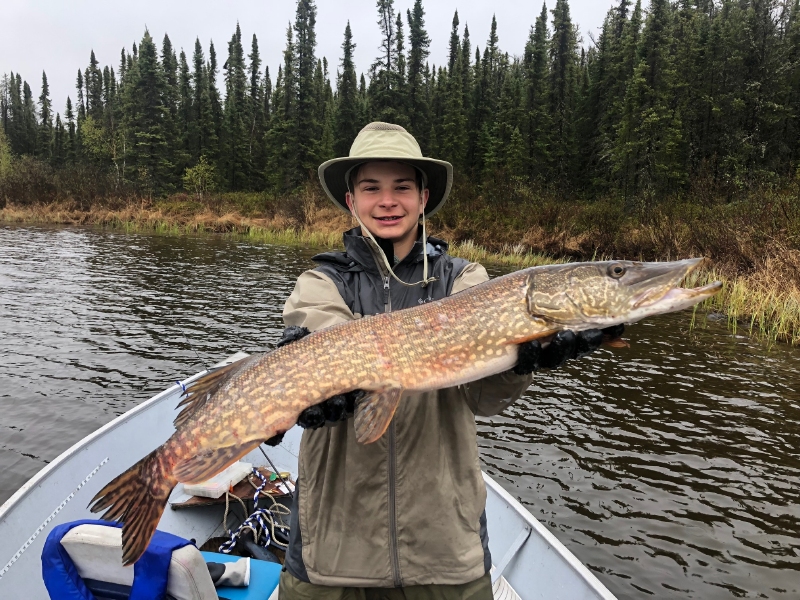 northernpike11