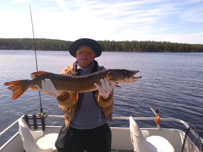 northernpike15 (1)