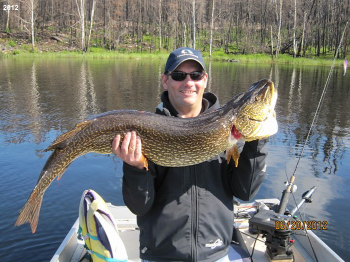 northernpike16 (1)