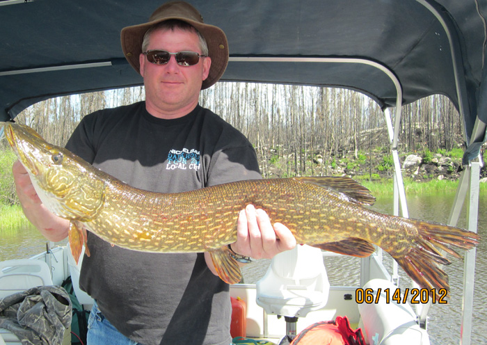 northernpike18 (1)
