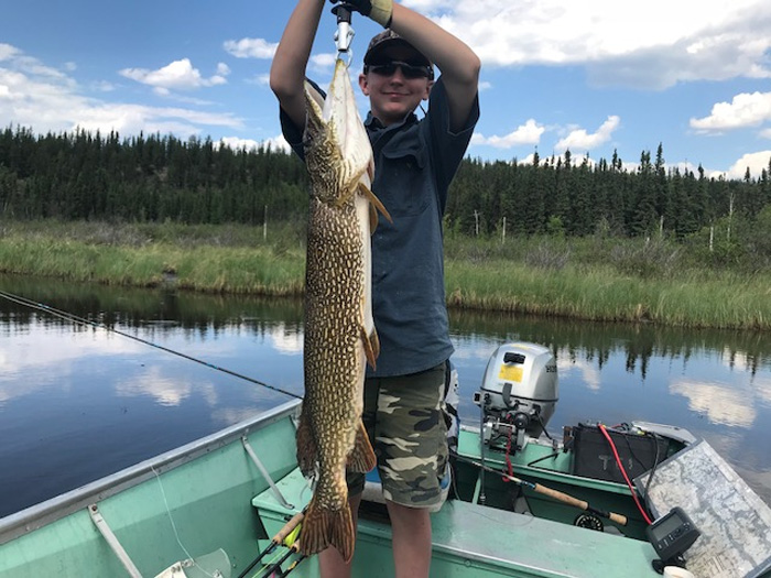 northernpike2 (2)