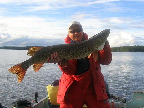 northernpike28 (1)