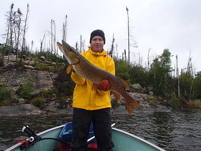 northernpike3 (2)