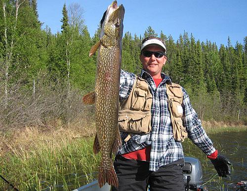 northernpike30 (1)