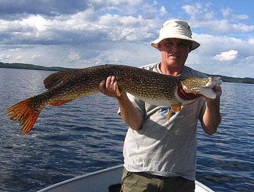northernpike32 (1)
