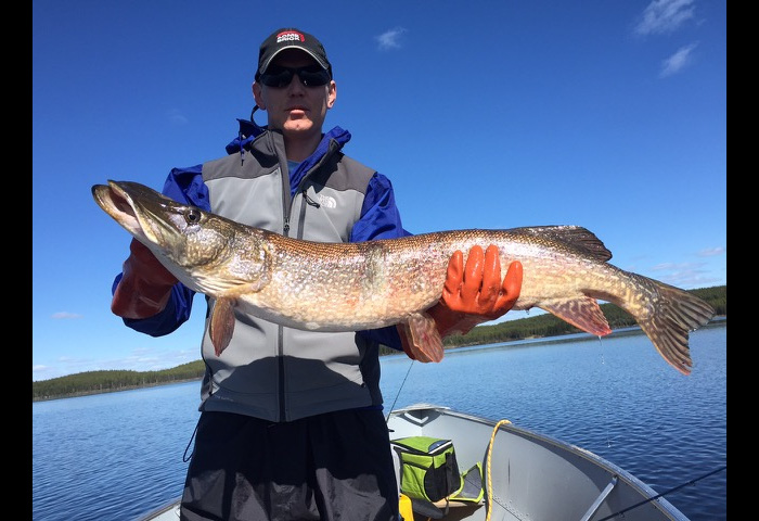 northernpike32