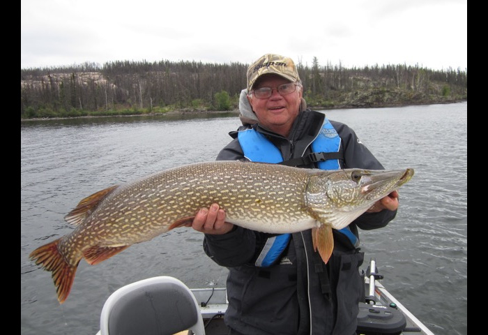 northernpike33