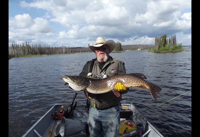 northernpike35