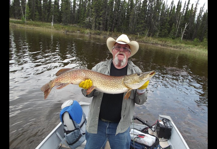 northernpike37