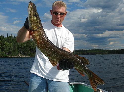 northernpike38 (1)
