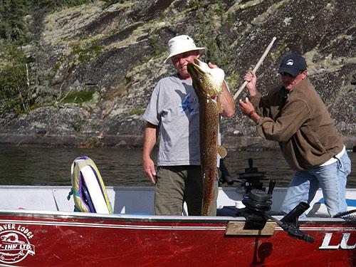 northernpike40 (1)
