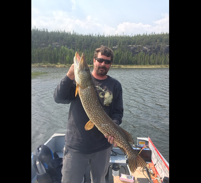 northernpike40