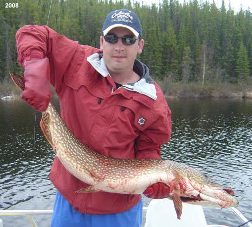 northernpike44