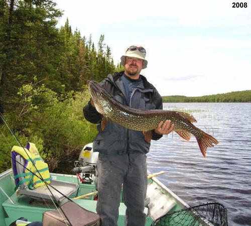 northernpike50