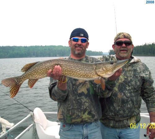northernpike52