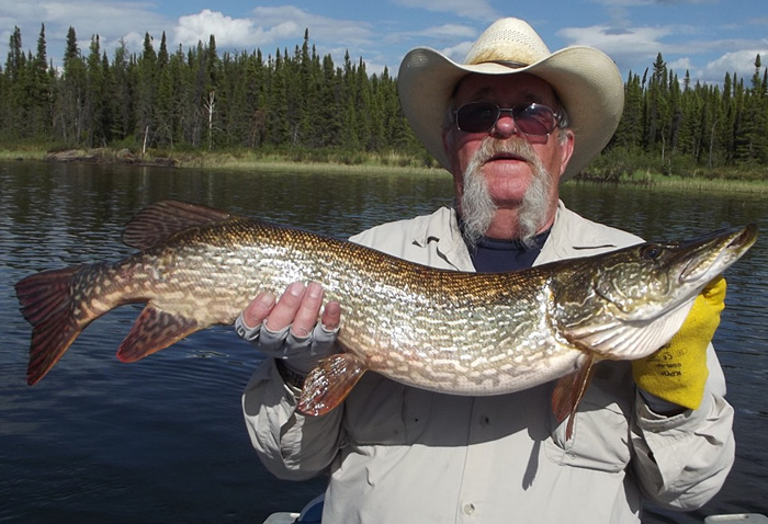 northernpike9 (1)