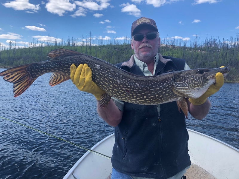northernpike9