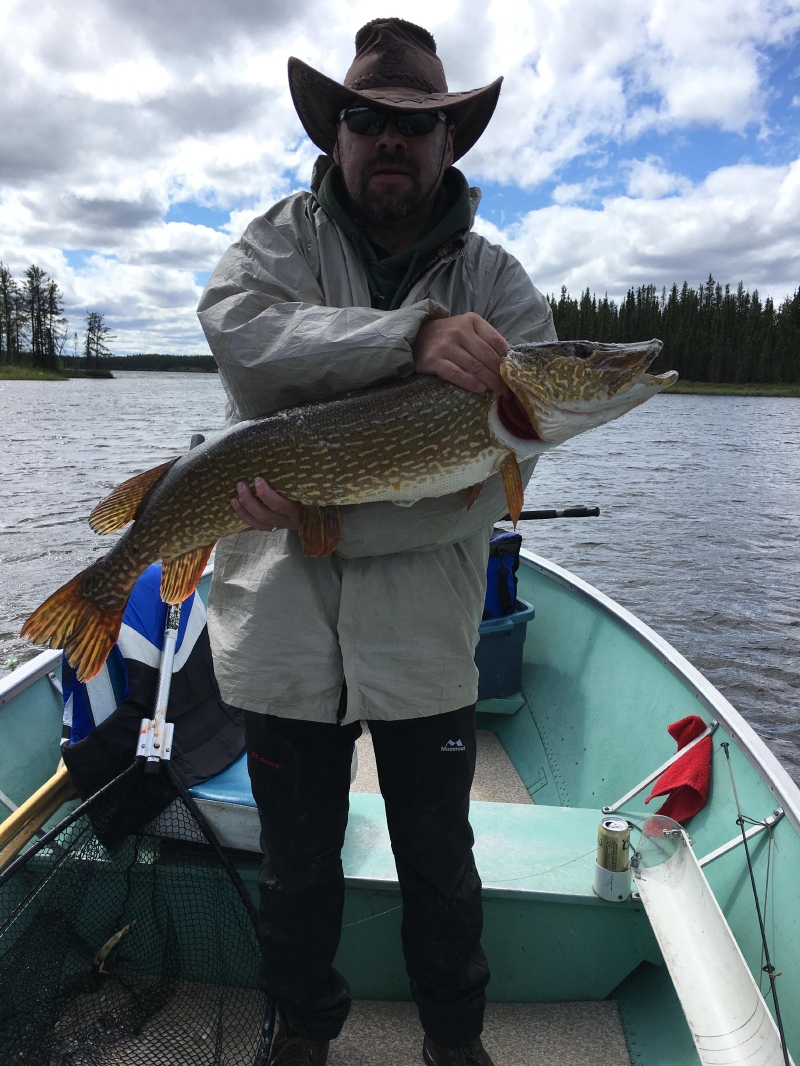 trophynorthernpike10
