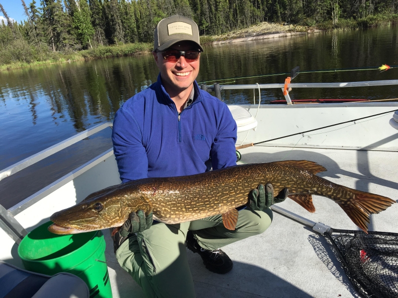trophynorthernpike11