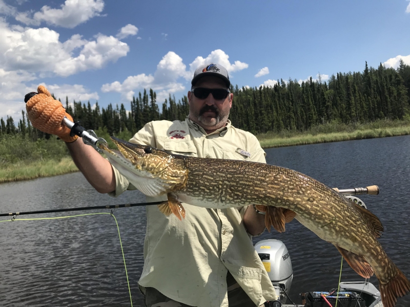 trophynorthernpike13