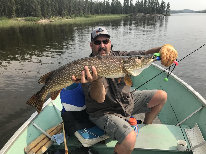 trophynorthernpike15