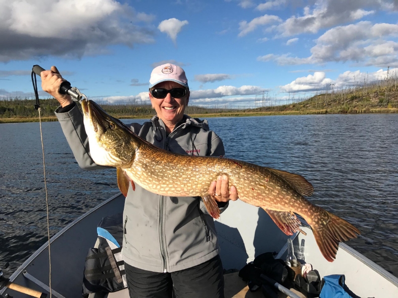 trophynorthernpike26