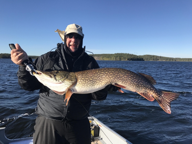 trophynorthernpike30